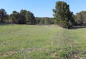 Parcel·la urbanitzable en venda a la El Tiro de Cantos, Lorca, ref.: TR76624 foto