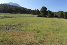 Lorca 20000&nbsp;m²