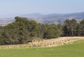 Lorca 20000&nbsp;m²