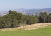 Parcel·la urbanitzable en venda a la El Tiro de Cantos, Lorca, ref.: TR76624 foto