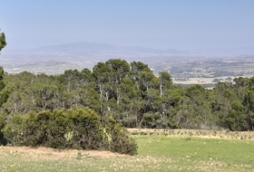 Lorca 20000&nbsp;m²