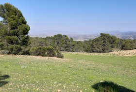 Lorca 20000&nbsp;m²