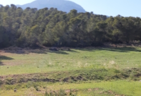 Lorca 20000&nbsp;m²