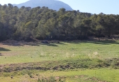Parcel·la urbanitzable en venda a la El Tiro de Cantos, Lorca, ref.: TR76624 foto