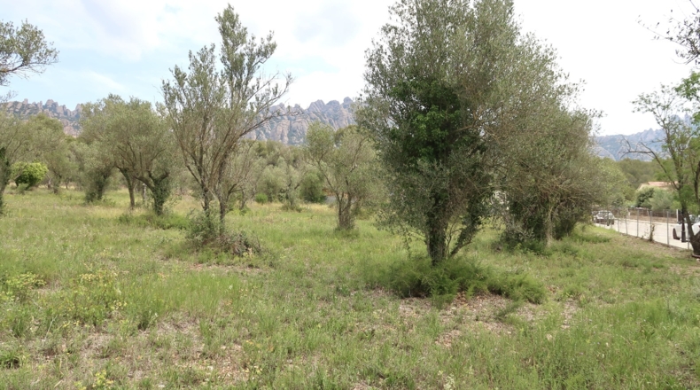 Barcelona - el Bruc - 1003m2
