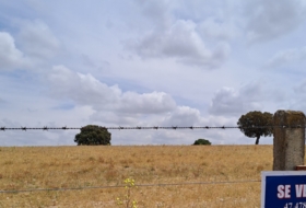 Calvarrasa de Arriba 43000&nbsp;m² 