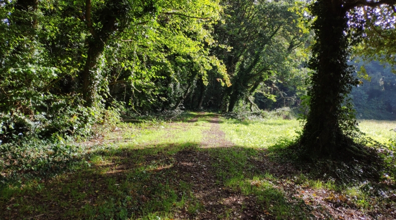 Lugo - Sandamil - 170000m2