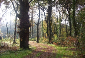 Sandamil 170000&nbsp;m² 