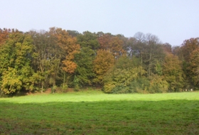 Sandamil 170000&nbsp;m² 
