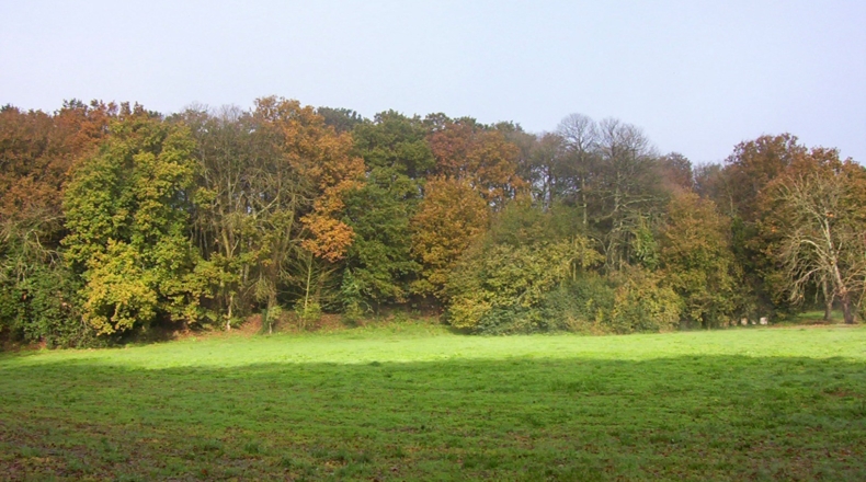 Lugo - Sandamil - 170000m2