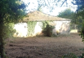 Casa de piedra con terreno en venta en la Finca A Granda, Sandamil, ref: TR77293 foto
