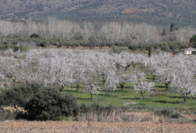 Malagón 50000&nbsp;m² 