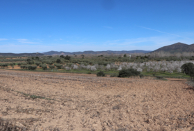 Malagón 50000&nbsp;m² 