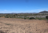 Non-developable land for sale on Cerrillo de las Tablas, Malagón, ref: TR77290 photo