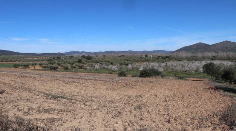 Ciudad Real - Malagón - 50000m2