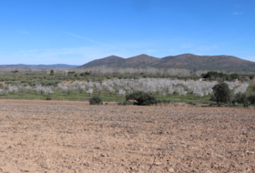 Malagón 50000&nbsp;m² 