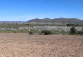 Non-developable land for sale on Cerrillo de las Tablas, Malagón, ref: TR77290 photo