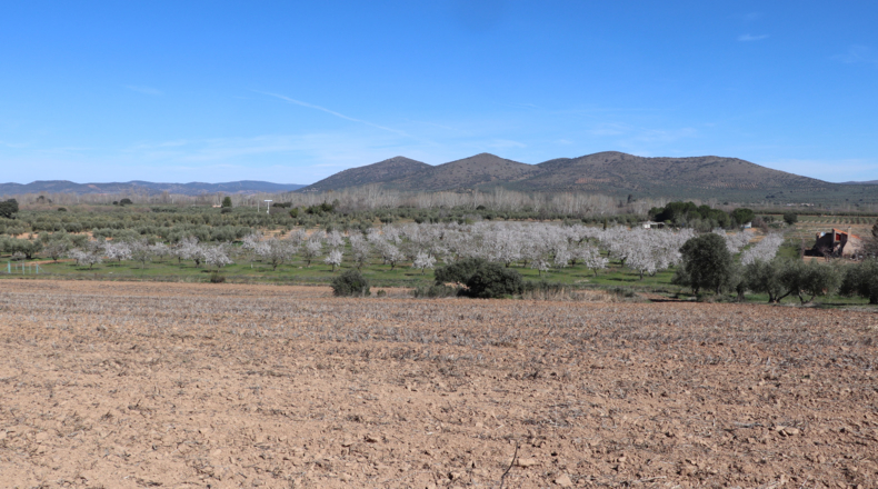 Ciudad Real - Malagón - 50000m2