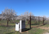 Non-developable land for sale on Cerrillo de las Tablas, Malagón, ref: TR77290 photo