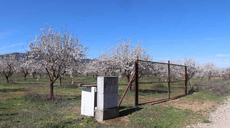 Ciudad Real - Malagón - 50000m2