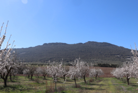 Malagón 50000&nbsp;m² 