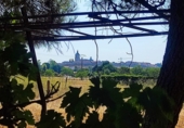 Terreny no urbanitzable en venda a la Huertas Santa Cruz, Ciudad Rodrigo, ref.: TR77289 foto