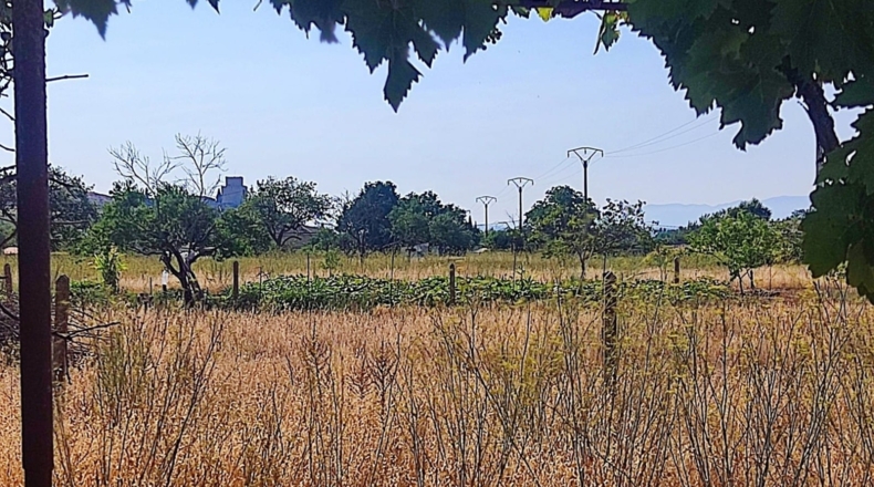 Salamanca - Ciudad Rodrigo - 2800m2