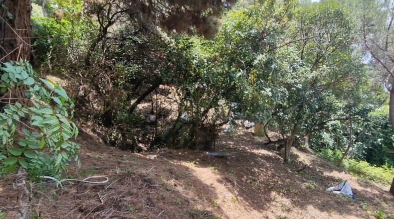 Barcelona - Cabrils - 1600m2