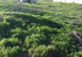 Farm for sale on Passatge de Sant Sebastià, Maials, ref: TR77319 photo