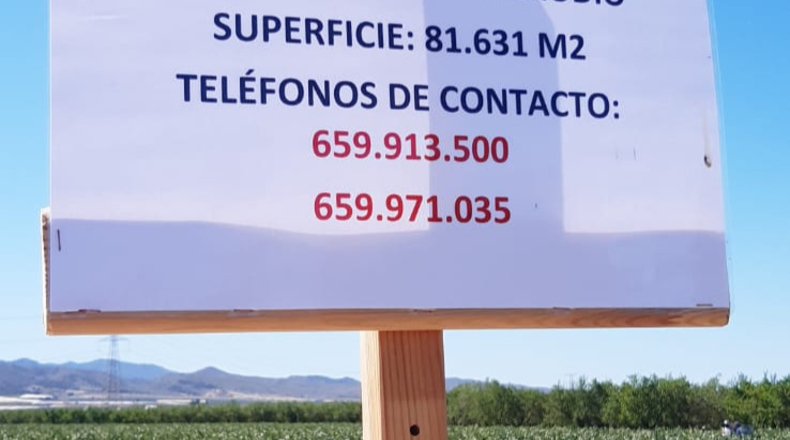 Murcia - Totana - 81631m2