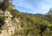Terreno no urbanizable en venta en la Valle de Morna, Santa Eulària des Riu, ref: TR77333 foto
