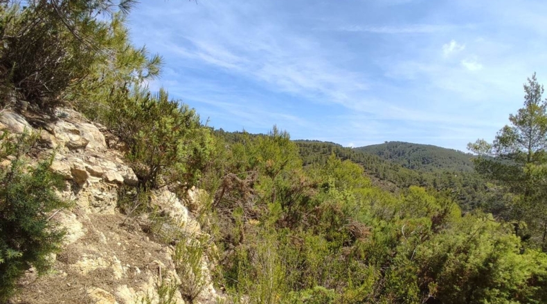 Islas Baleares - Santa Eulalia del Río - 37833m2