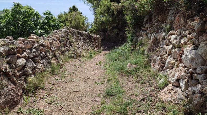 Islas Baleares - Santa Eulalia del Río - 37833m2