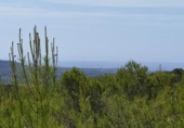 Terreno no urbanizable en venta en la Valle de Morna, Santa Eulària des Riu, ref: TR77333 foto
