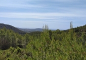 Terreno no urbanizable en venta en la Valle de Morna, Santa Eulària des Riu, ref: TR77333 foto