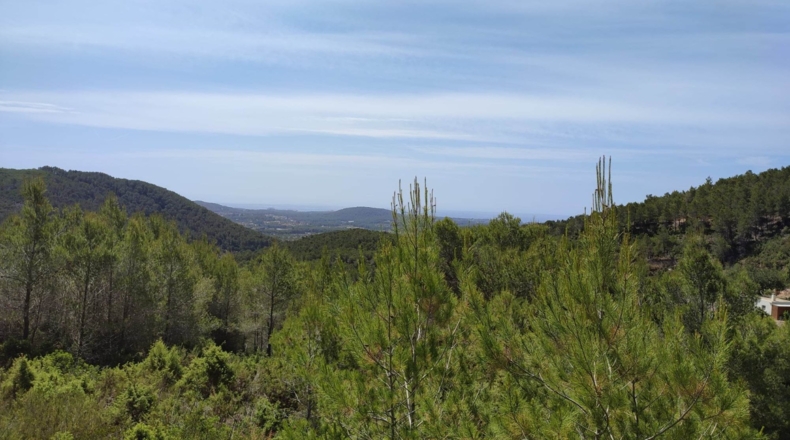 Islas Baleares - Santa Eulalia del Río - 37833m2