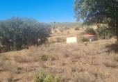 Non-developable land for sale on Terreno En Camino De La Fuente Grande, Espinoso del Rey, ref: TR77348 photo
