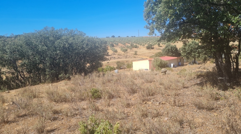 Toledo - Espinoso del Rey - 6861m2