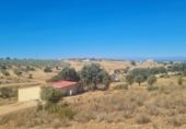 Non-developable land for sale on Terreno En Camino De La Fuente Grande, Espinoso del Rey, ref: TR77348 photo