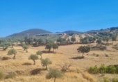 Non-developable land for sale on Terreno En Camino De La Fuente Grande, Espinoso del Rey, ref: TR77348 photo