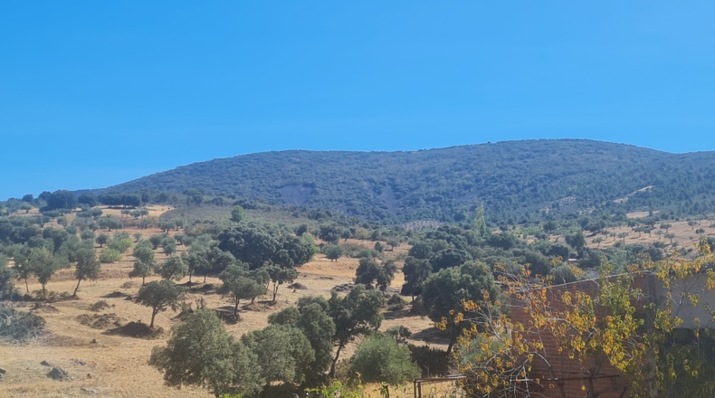 Toledo - Espinoso del Rey - 6861m2