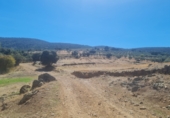 Non-developable land for sale on Terreno En Camino De La Fuente Grande, Espinoso del Rey, ref: TR77348 photo