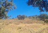 Non-developable land for sale on Terreno En Camino De La Fuente Grande, Espinoso del Rey, ref: TR77348 photo
