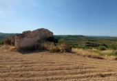 Casa de camp amb terreny en venda a la crt 734, el Molar, ref.: TR77771 foto