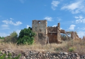 Casa de camp amb terreny en venda a la crt 734, el Molar, ref.: TR77771 foto