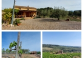 Casa de camp amb terreny en venda a la crt 734, el Molar, ref.: TR77771 foto