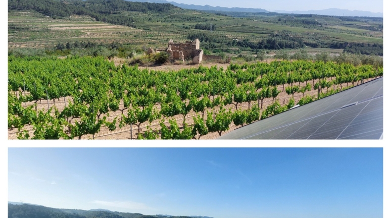 Tarragona - el Molar - 100000m2