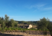 Casa de camp amb terreny en venda a la crt 734, el Molar, ref.: TR77771 foto