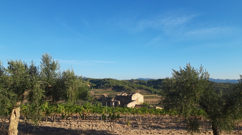 Tarragona - el Molar - 100000m2