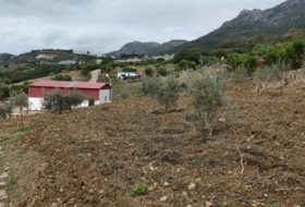 Cortes de la Frontera 6800&nbsp;m² 